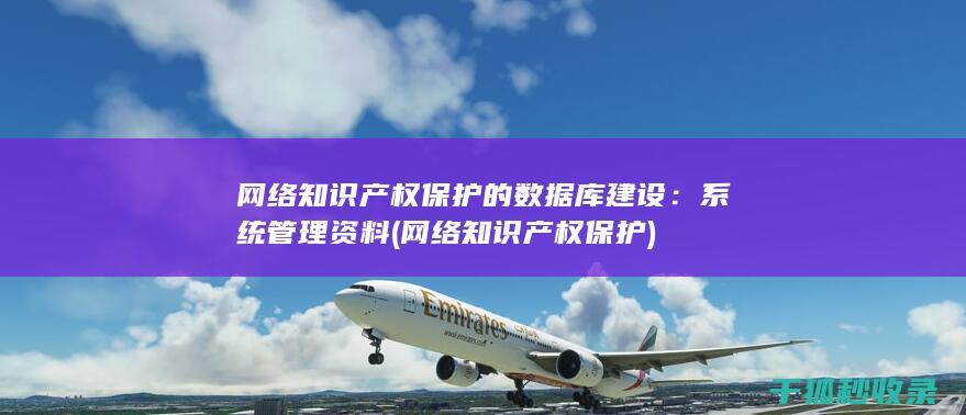 网络知识产权保护的数据库建设：系统管理资料 (网络知识产权保护)