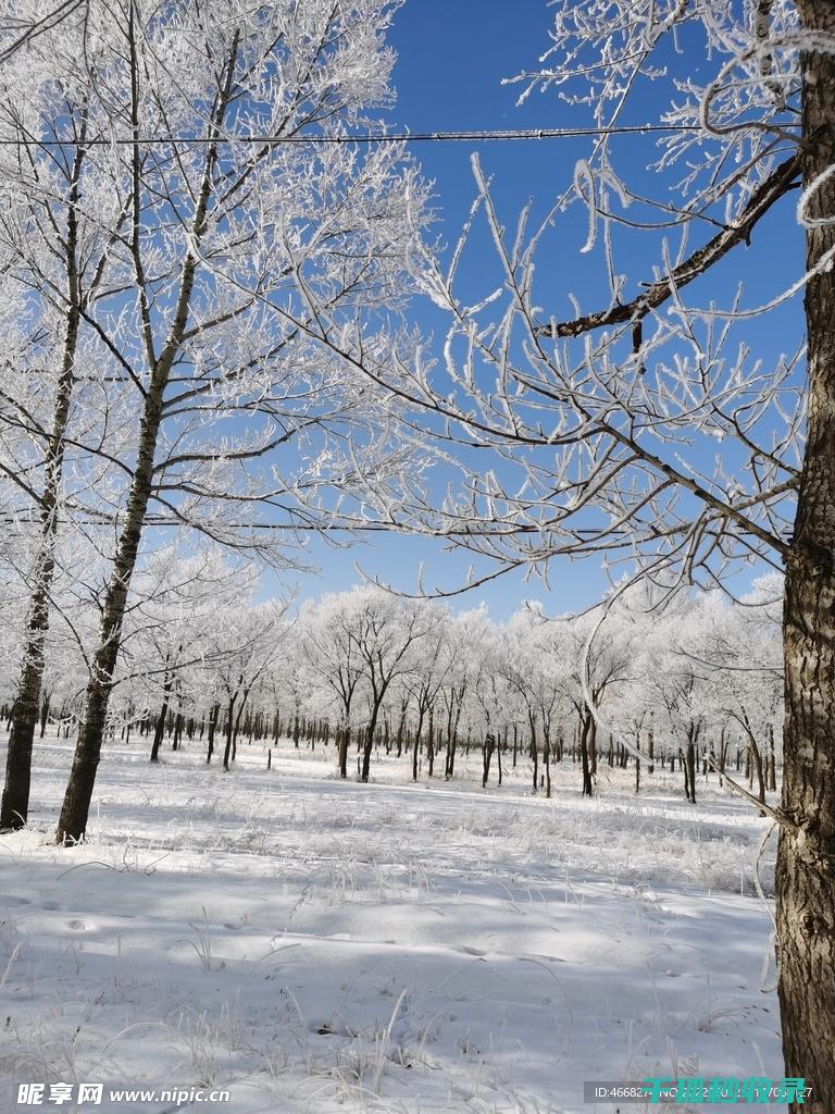 雪天防滑全知道：从新手到专家的进阶之路 (雪天防滑小技巧)