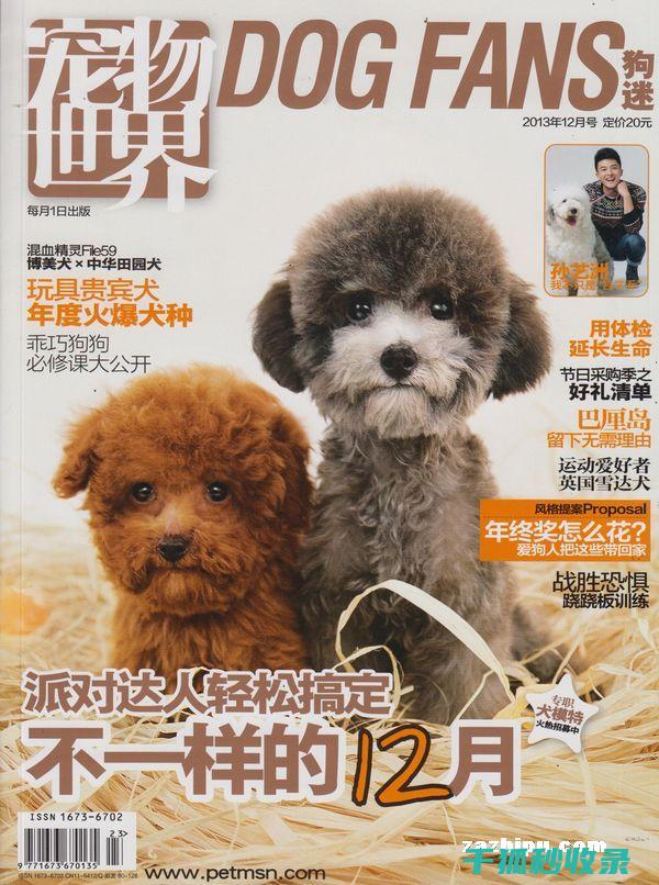 宠物驱虫周期：从基础到高级的完整教程 (宠物驱虫周期多久)