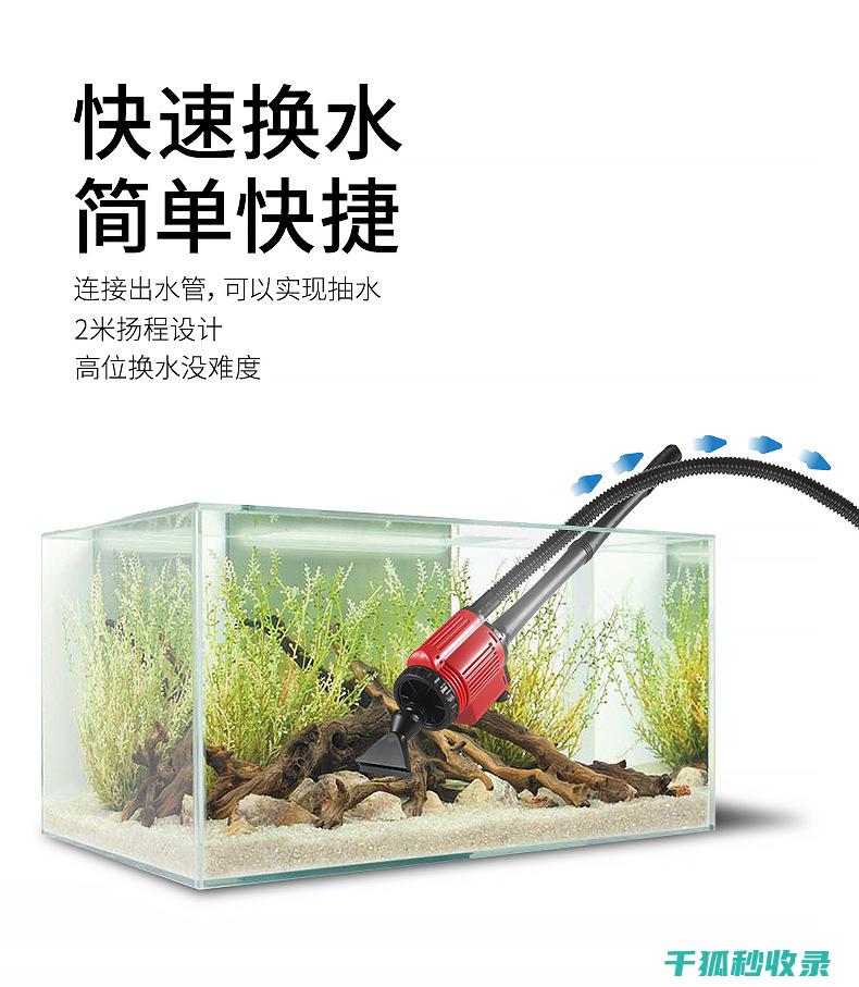 全年清洁时间表推荐