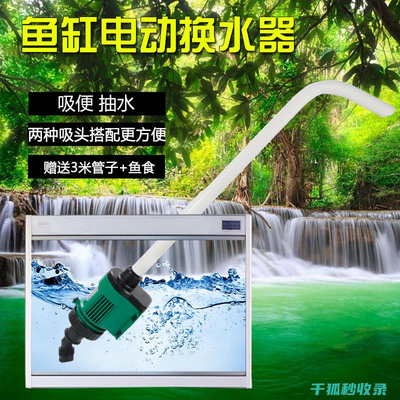 水族箱清洁技巧：如何安全清理藻类 (水族箱清洁技术规范)
