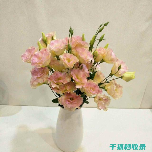 如何让鲜花保鲜更久？这些技巧不容错过 (如何让鲜花保鲜更久)
