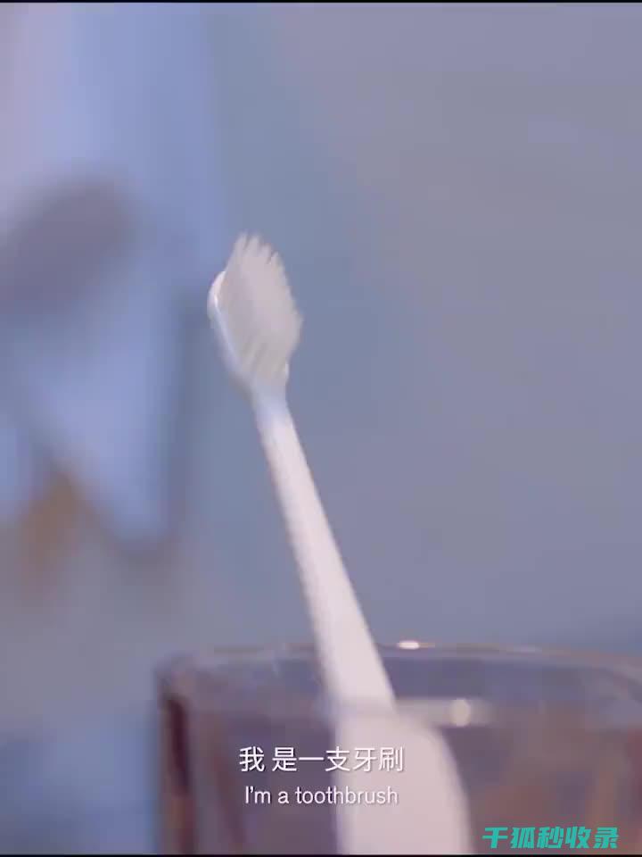 牙刷架清洁指南：保持口腔卫生的关键步骤 (牙刷架清洁指的是什么)