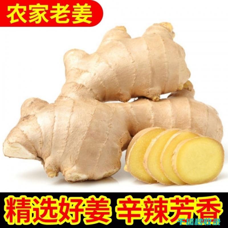 其期的秘诀