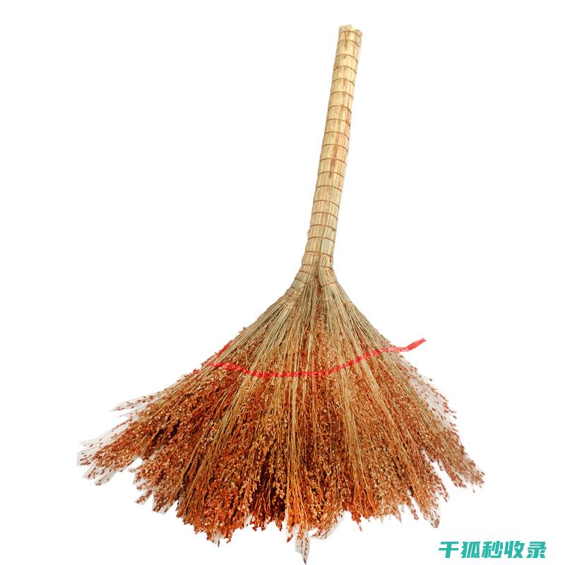 扫帚清洁的那些技巧：从快速清洁到精细护理 (扫帚清洗小妙招)