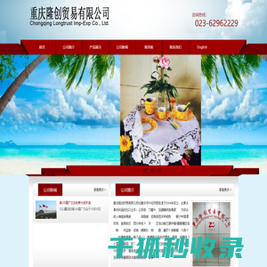 重庆隆创贸易有限公司