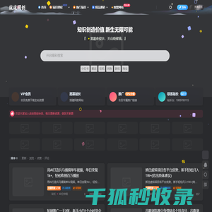 皮皮网创