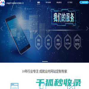 网页定制专家