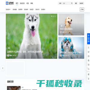 宠物网